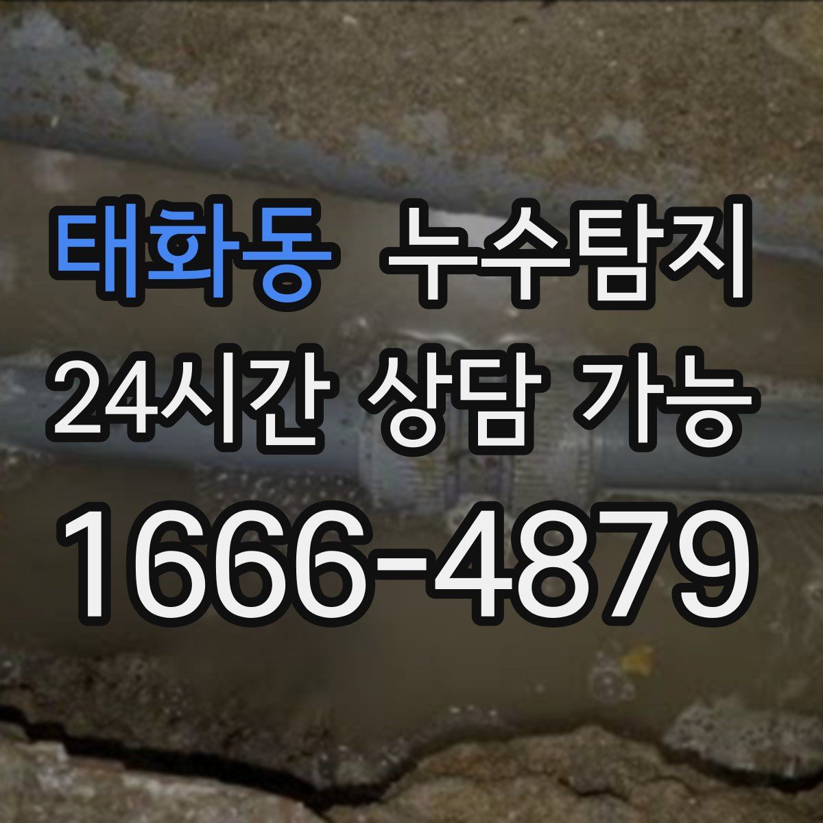 태화동 누수탐지