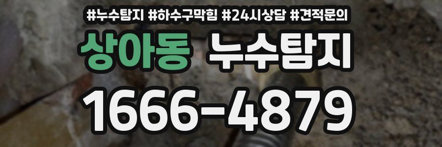 누수탐지