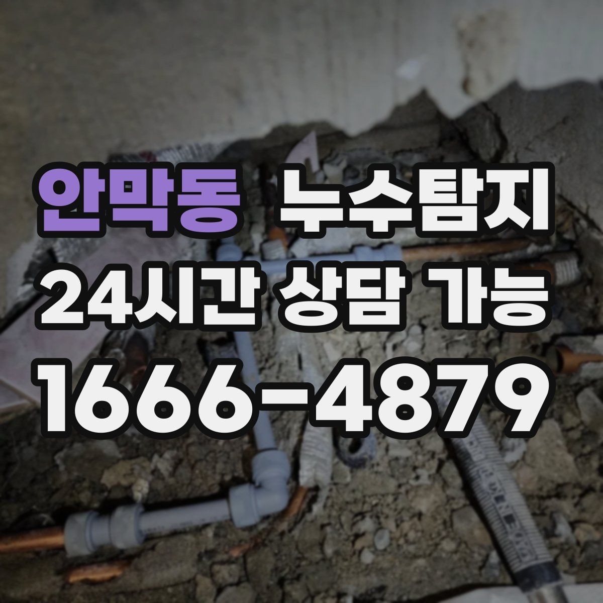 안막동 누수탐지 당일 상담과 긴급 점검 이용 후기