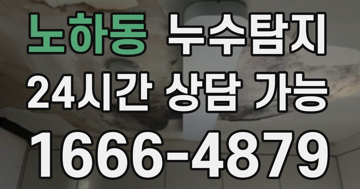 노하동 누수