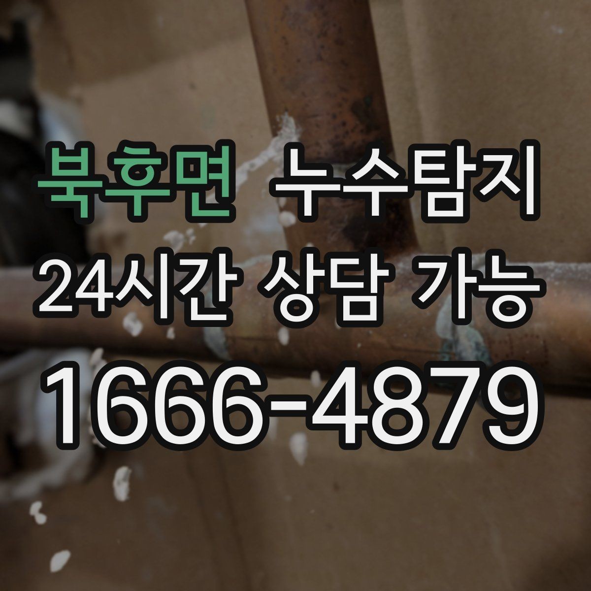 북후면 누수탐지 단독주택 외부 관로 점검 이야기