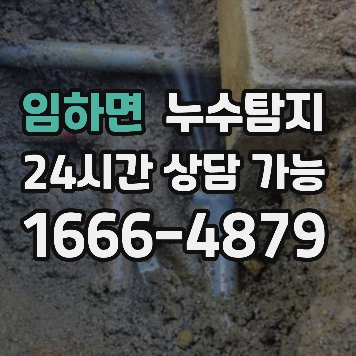 임하면 누수탐지 전문가와 동행한 하루의 기록