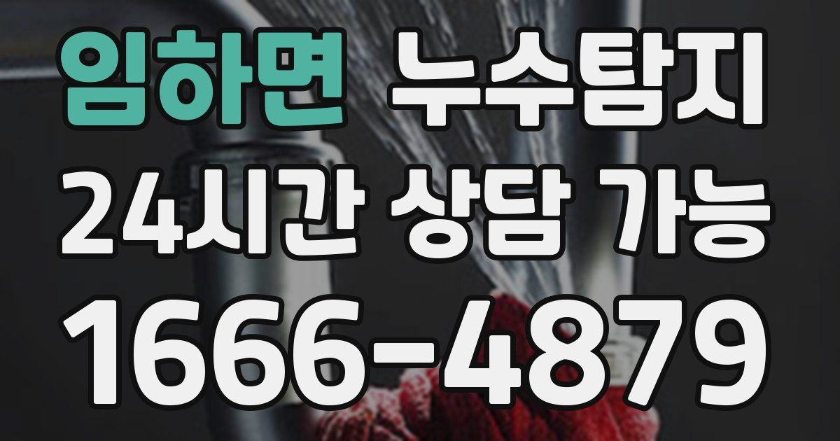 임하면 누수