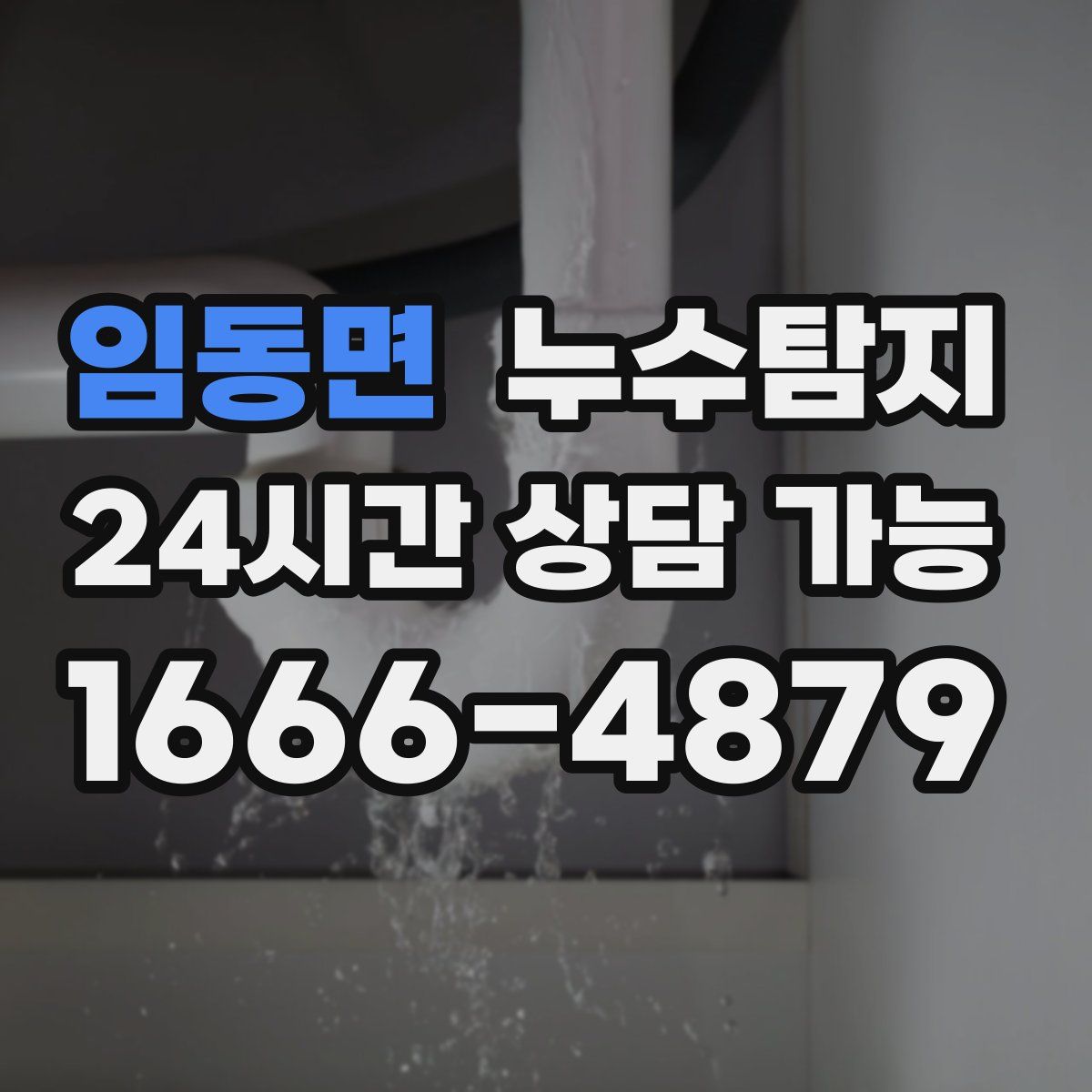 임동면 누수탐지