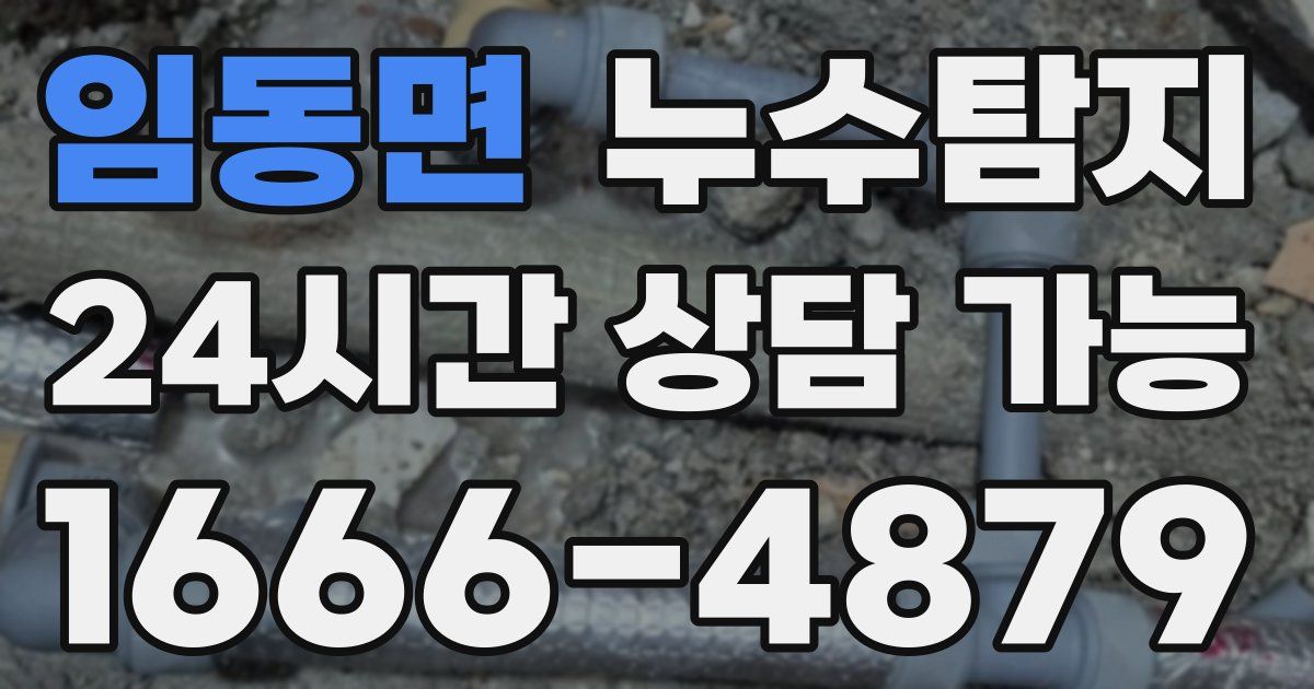 임동면 누수
