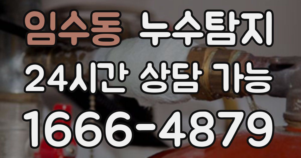 임수동 누수