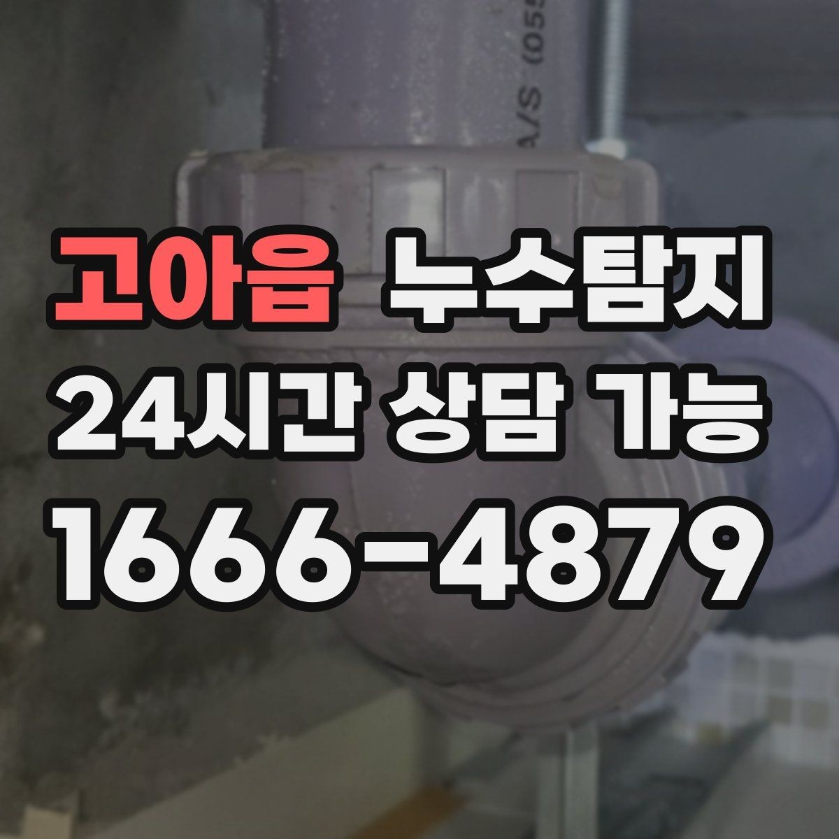 고아읍 누수탐지 합리적 비용 투명 견적