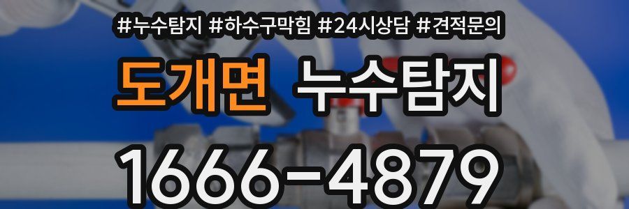 누수탐지