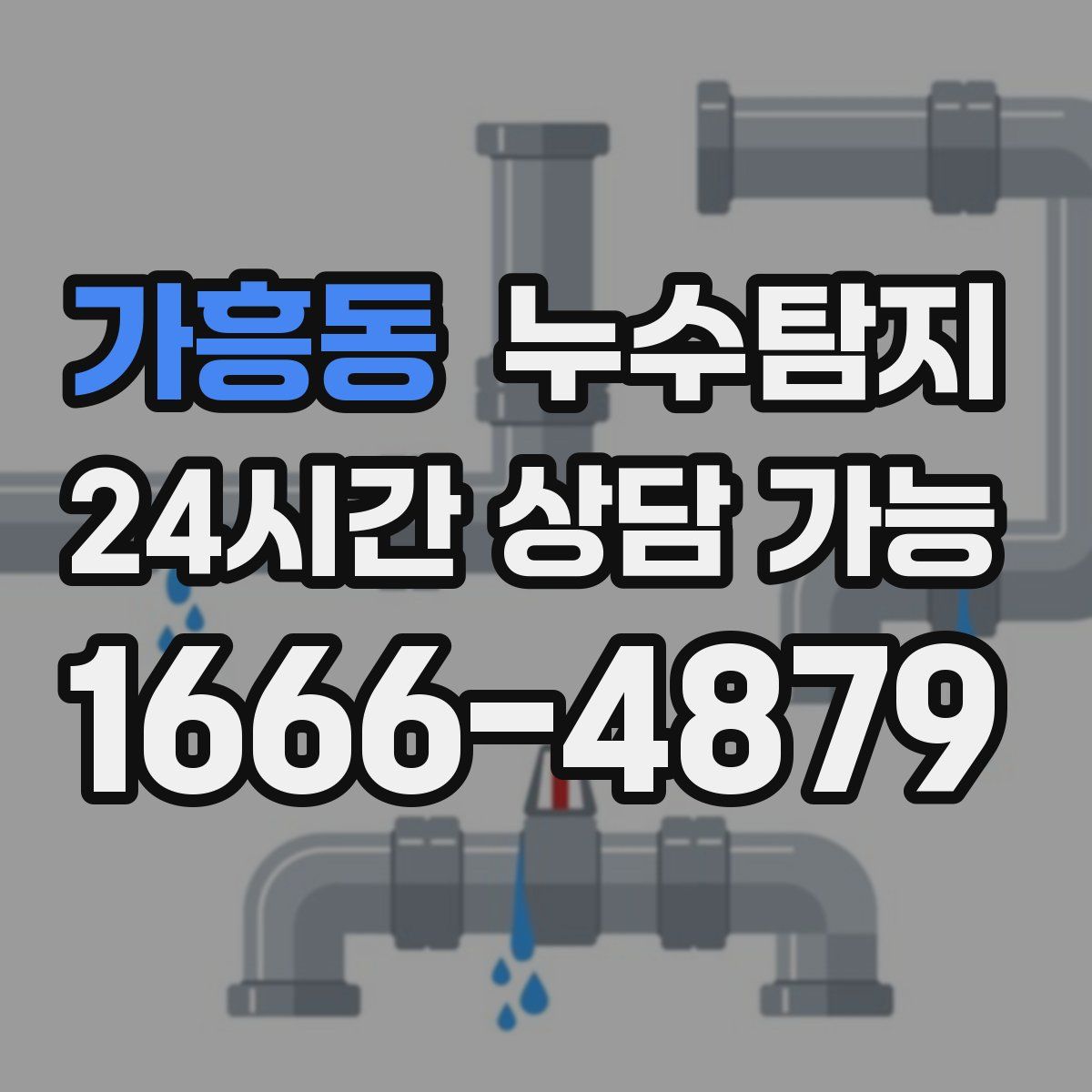 가흥동 누수탐지