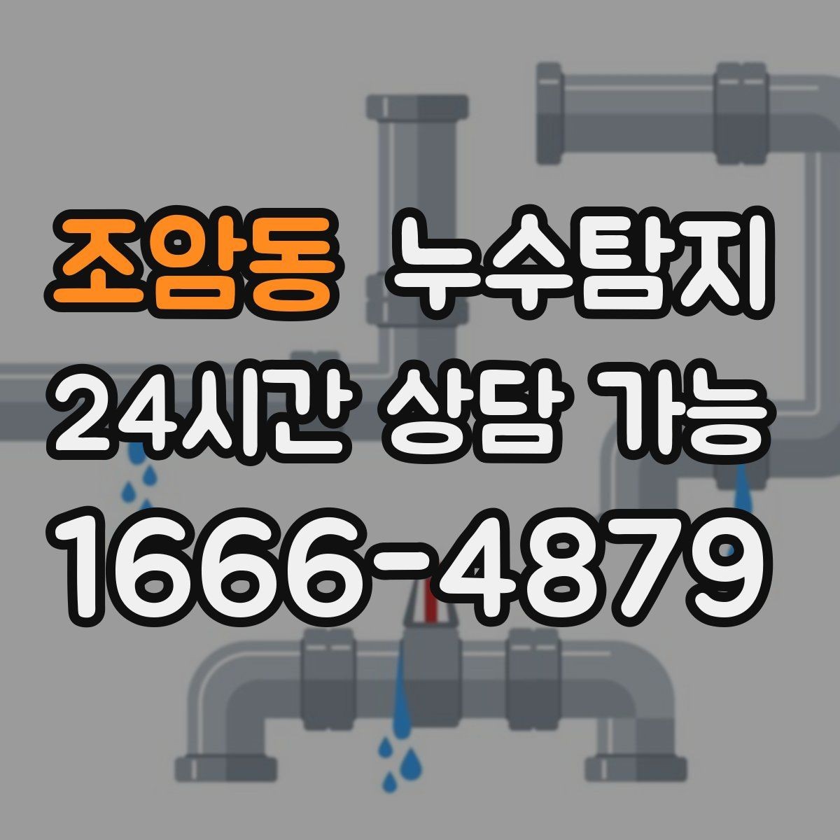 조암동 누수탐지 빠른 방문 당일 진단 가능