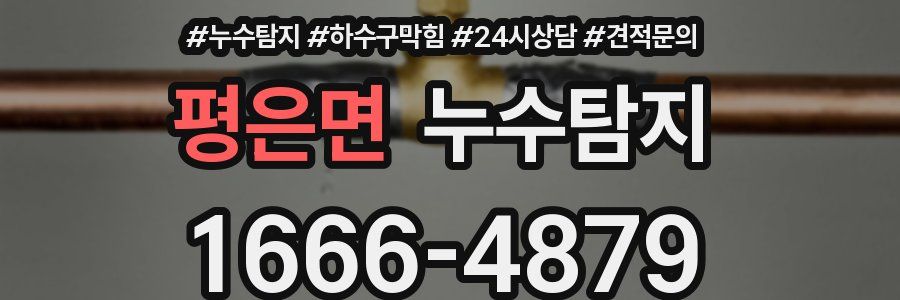 누수탐지