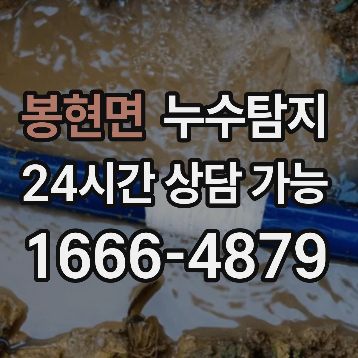 봉현면 누수탐지 청소보다 중요한 근본 해결기