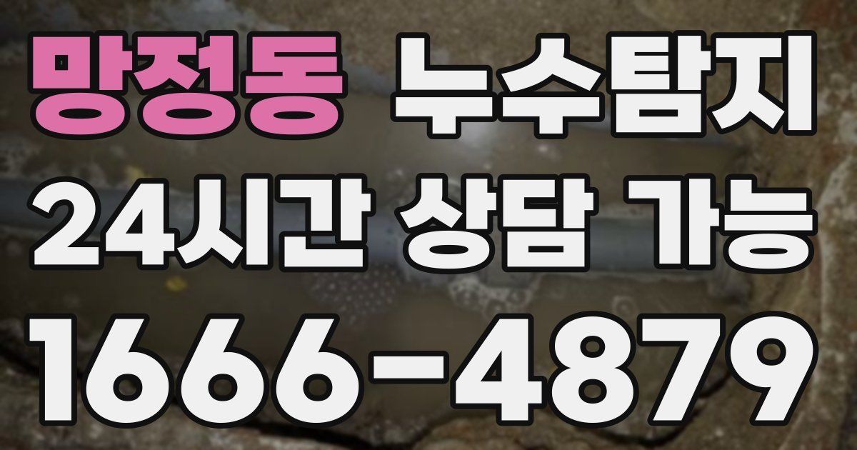 망정동 누수