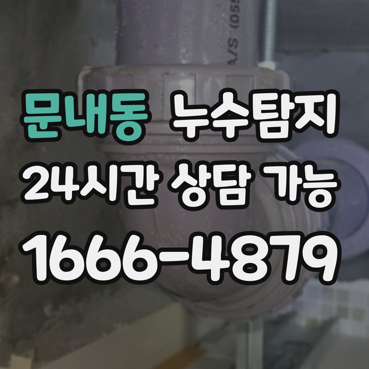 문내동 누수탐지 욕실 곰팡이 원인과 해결 과정