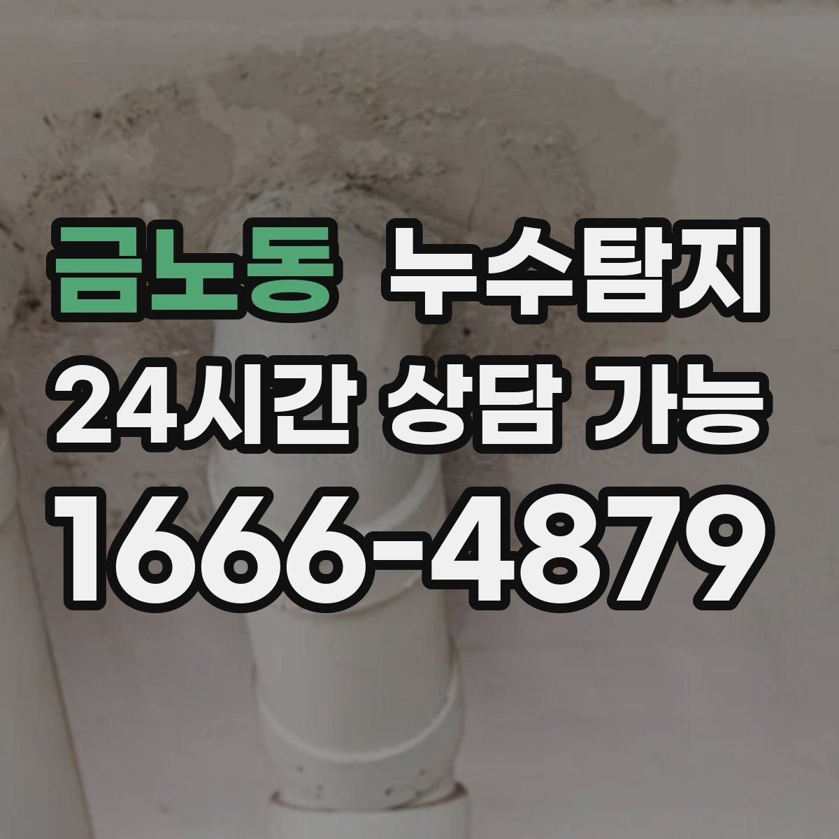 금노동 누수탐지 아이와 반려동물을 위한 안전 점검