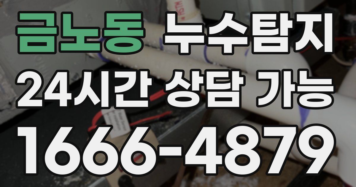 금노동 누수