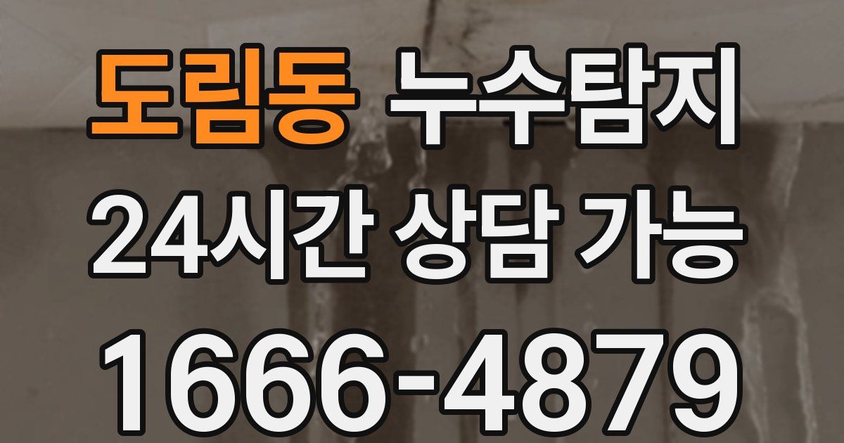 도림동 누수