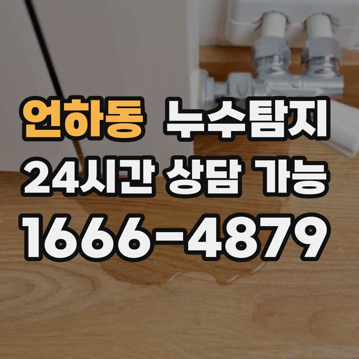언하동 누수탐지