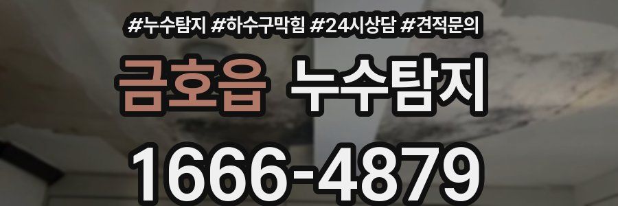 누수탐지