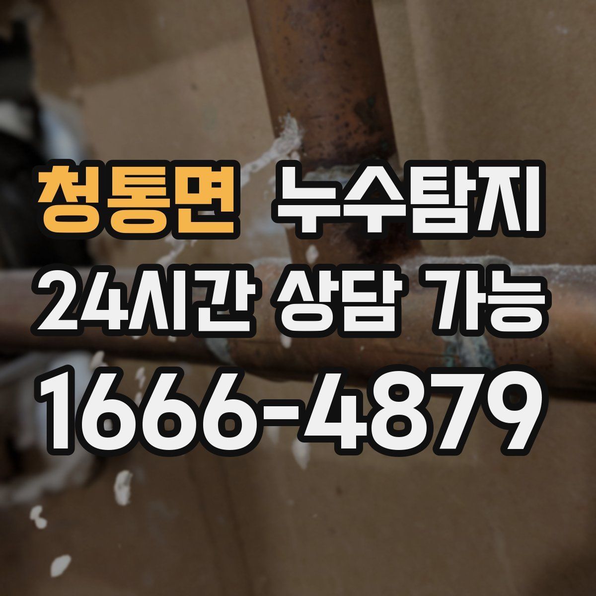 청통면 누수탐지