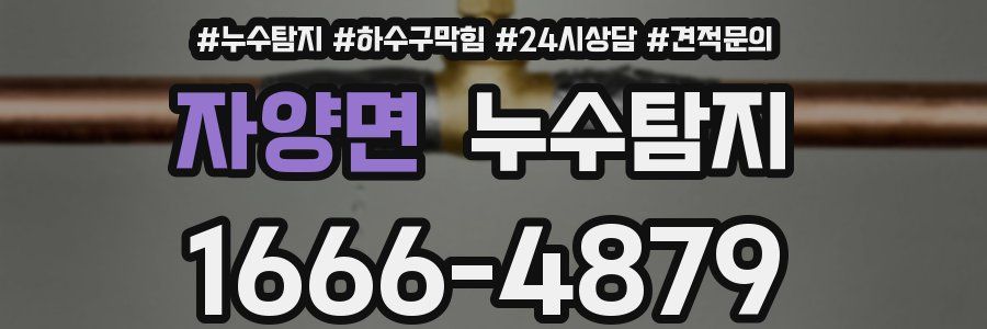 누수탐지
