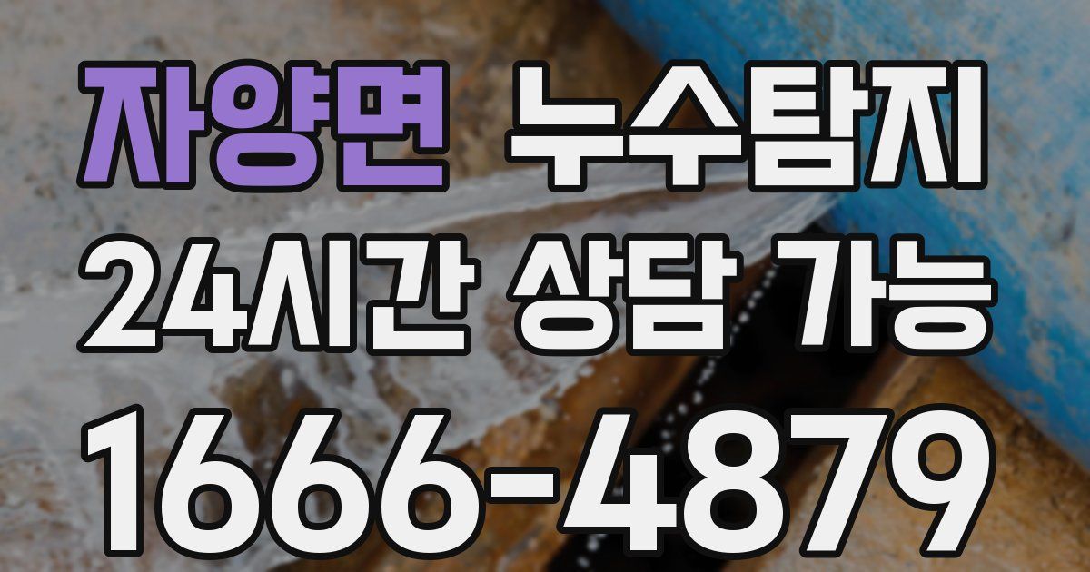 자양면 누수