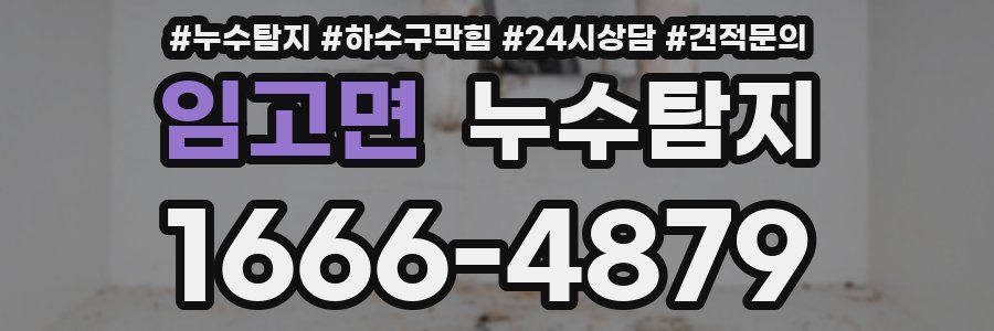 누수탐지