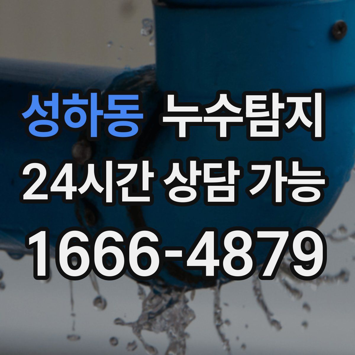 성하동 누수탐지
