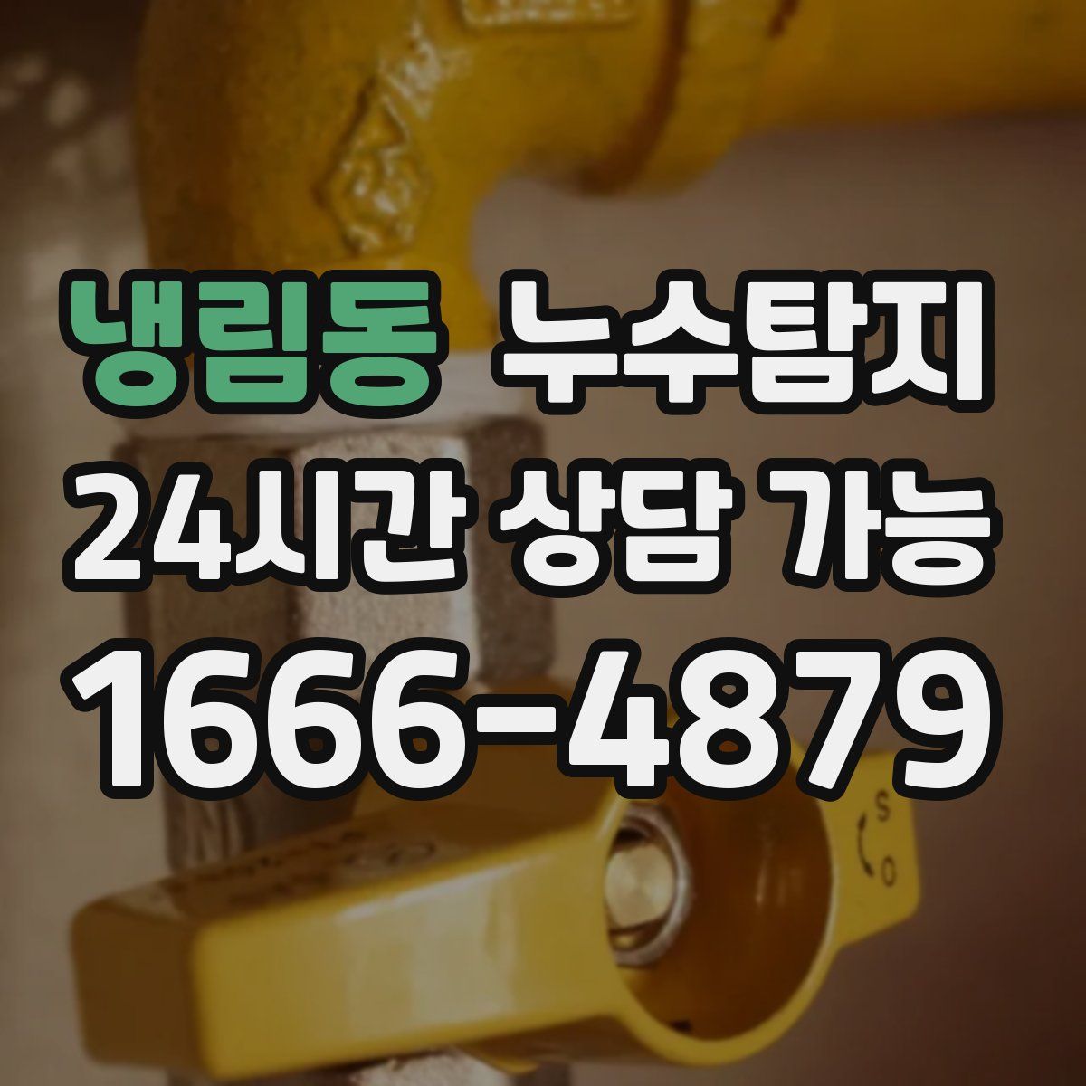 냉림동 누수탐지