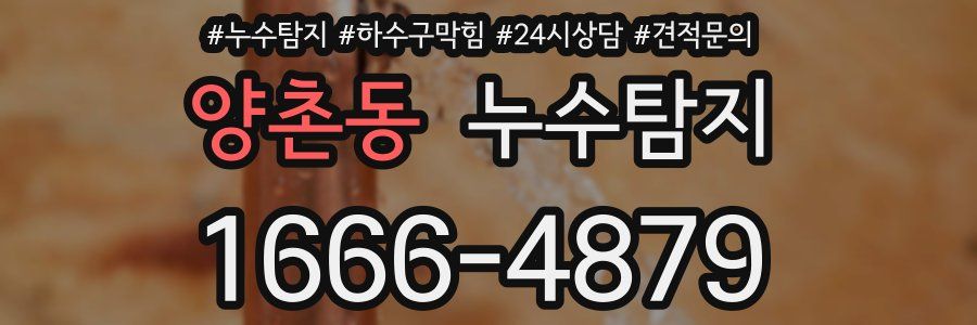 누수탐지