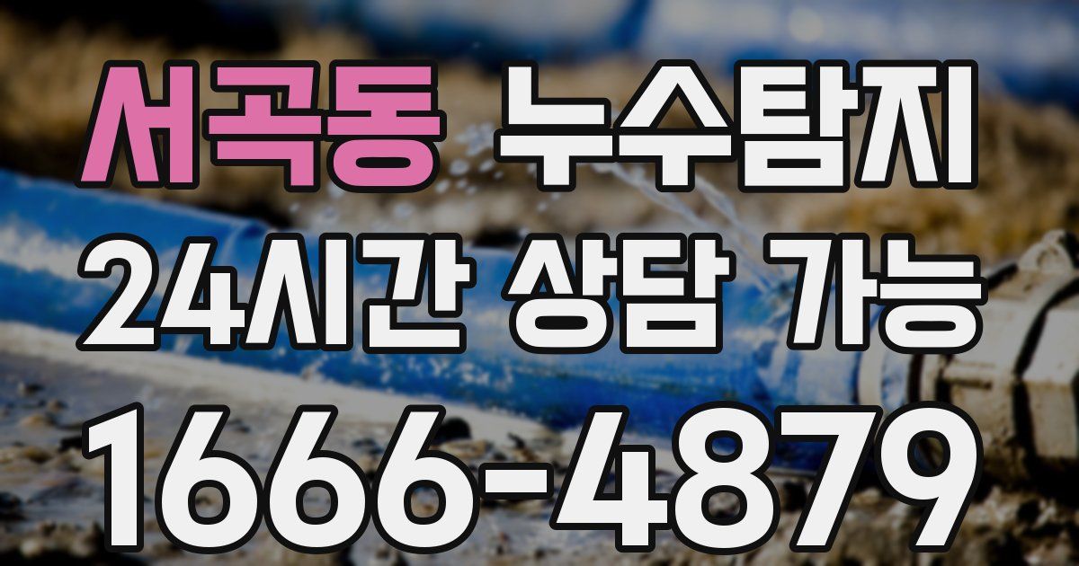 서곡동 누수