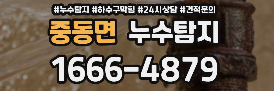 누수탐지