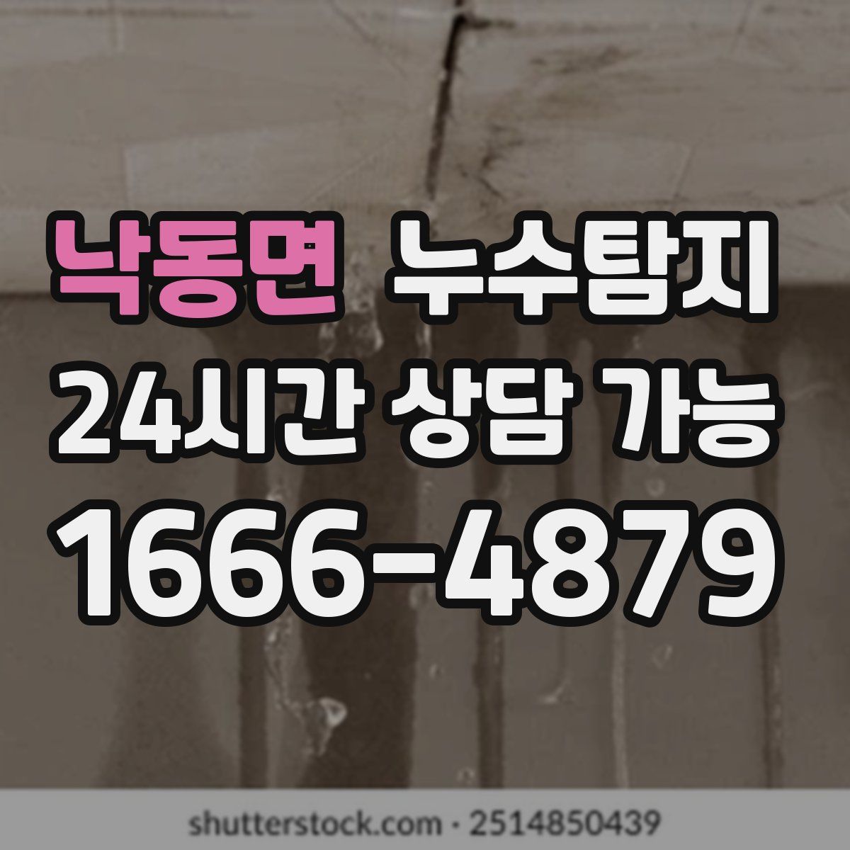 낙동면 누수탐지