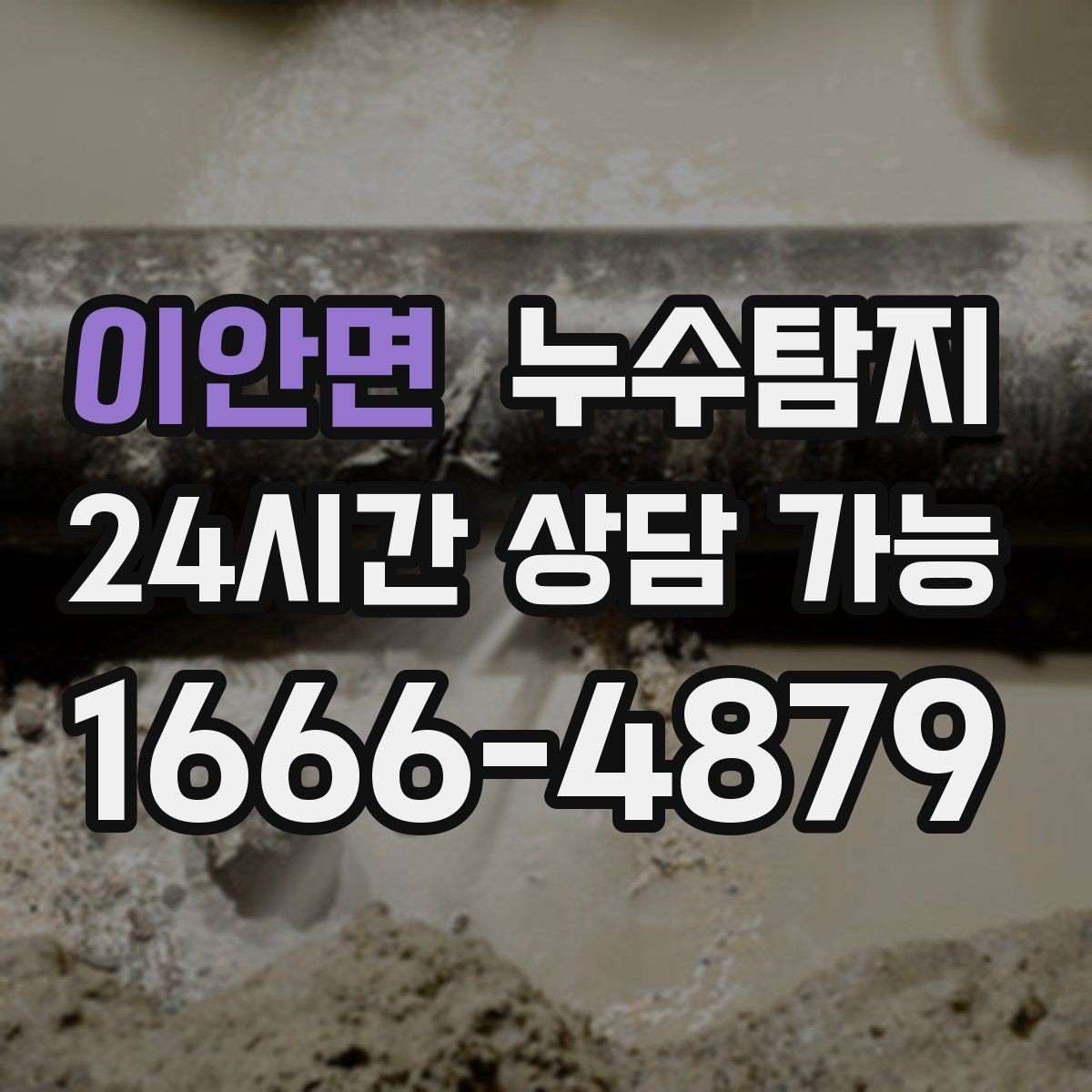 이안면 누수탐지 욕실 곰팡이 사라진 변화 이야기