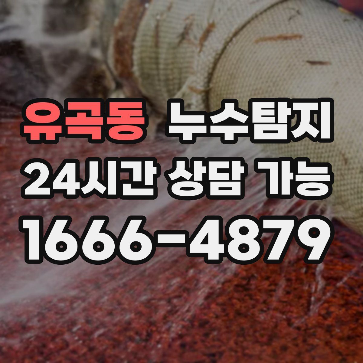 유곡동 누수탐지