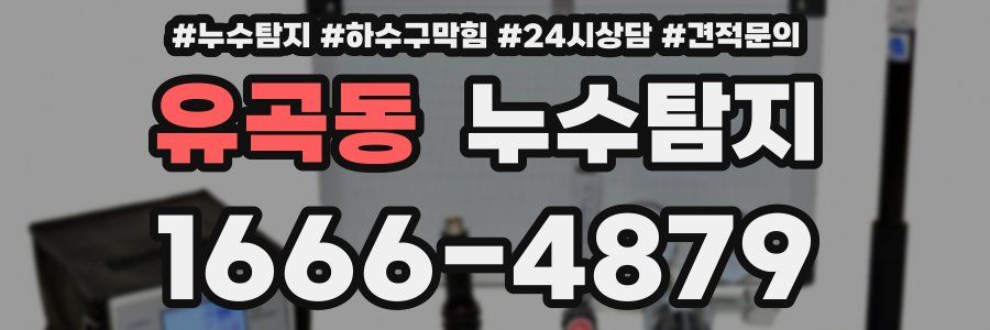 누수탐지
