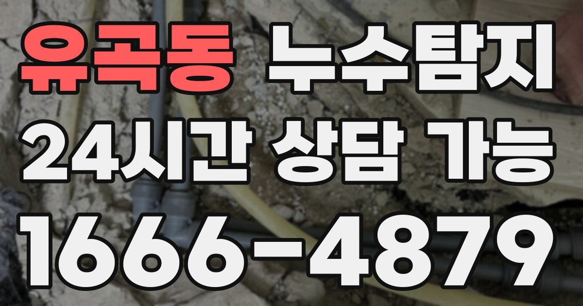 유곡동 누수