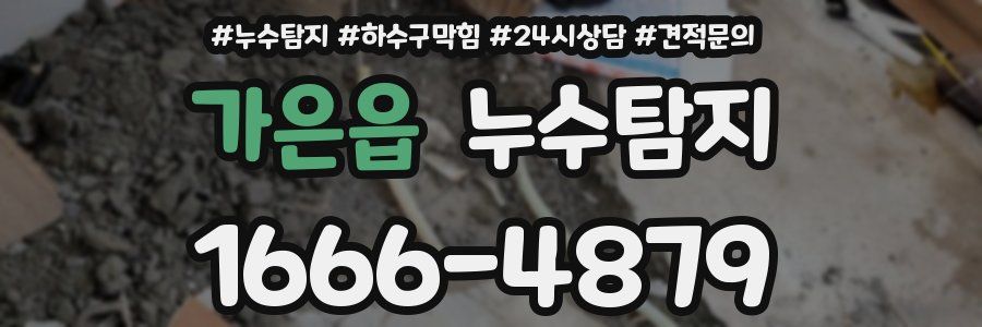 누수탐지