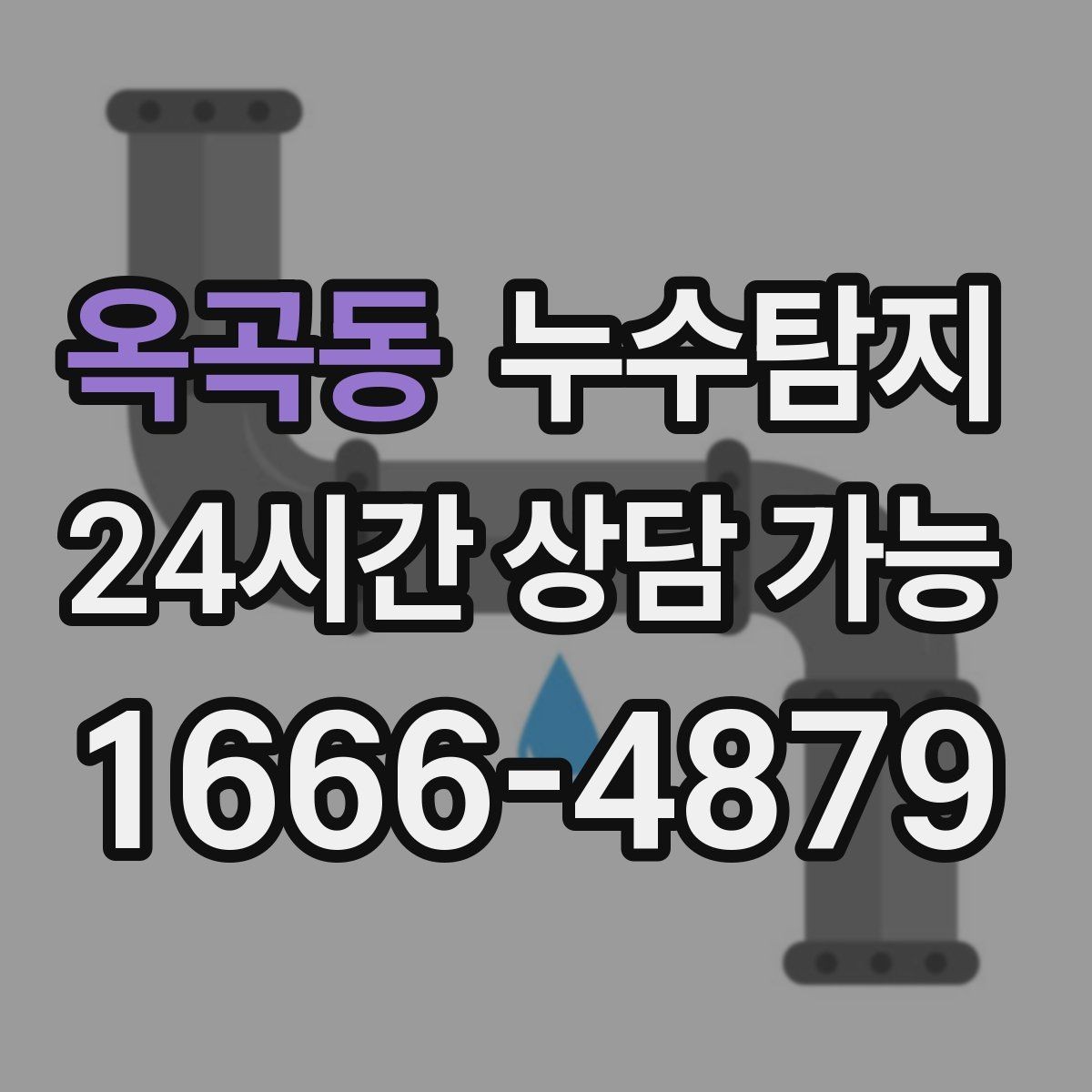 옥곡동 누수탐지 바닥 습기와 장판 들뜸 해결기