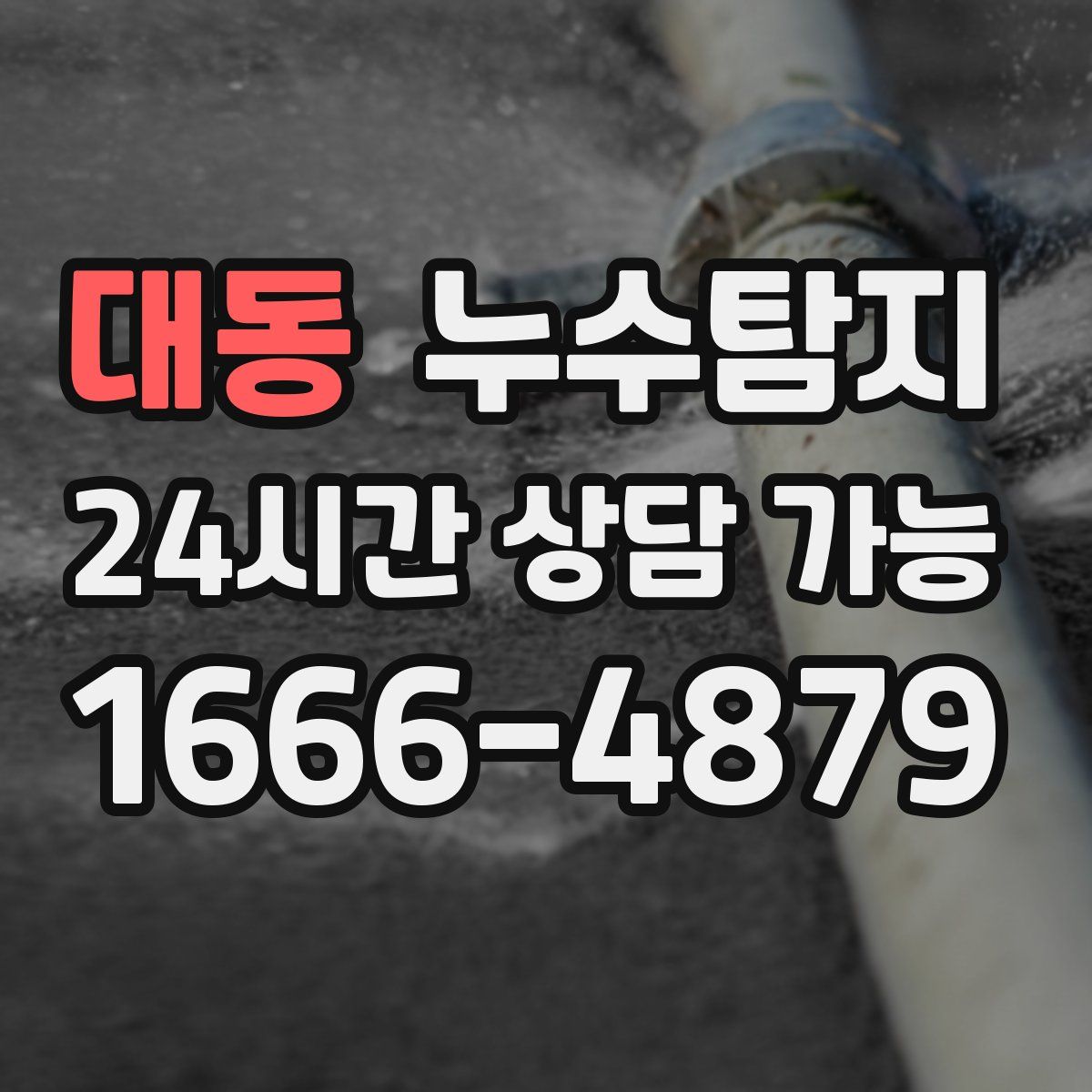 대동 누수탐지