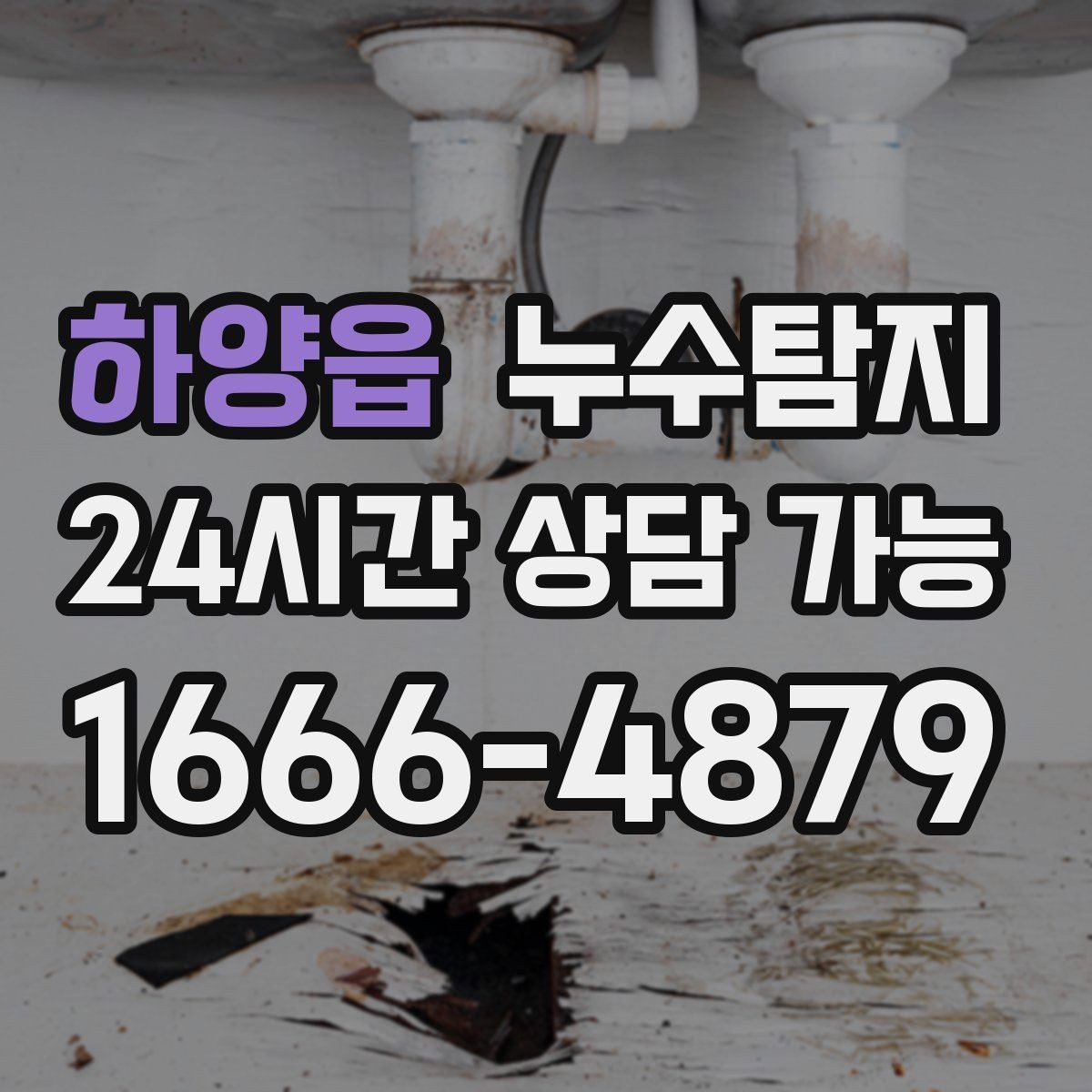 하양읍 누수탐지 반려가정 배려 점검 후기