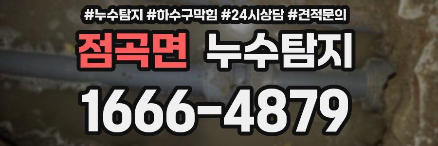 누수탐지