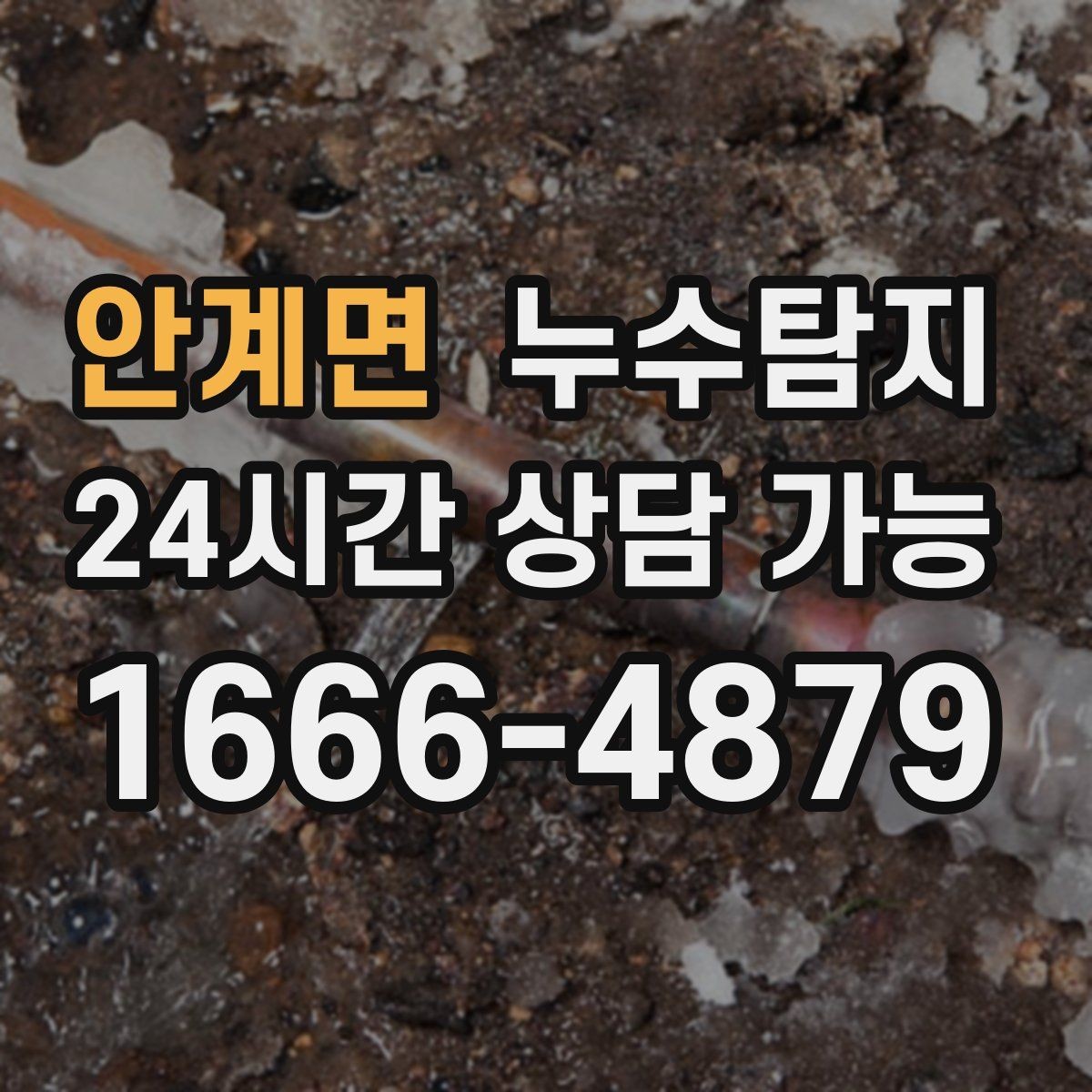 안계면 누수탐지 반려가정 배려 점검 후기