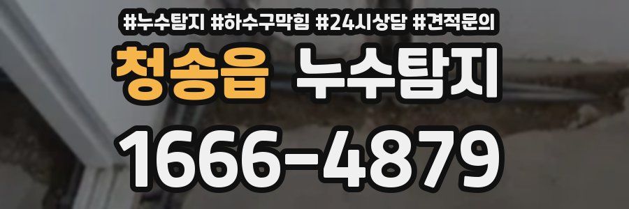 누수탐지