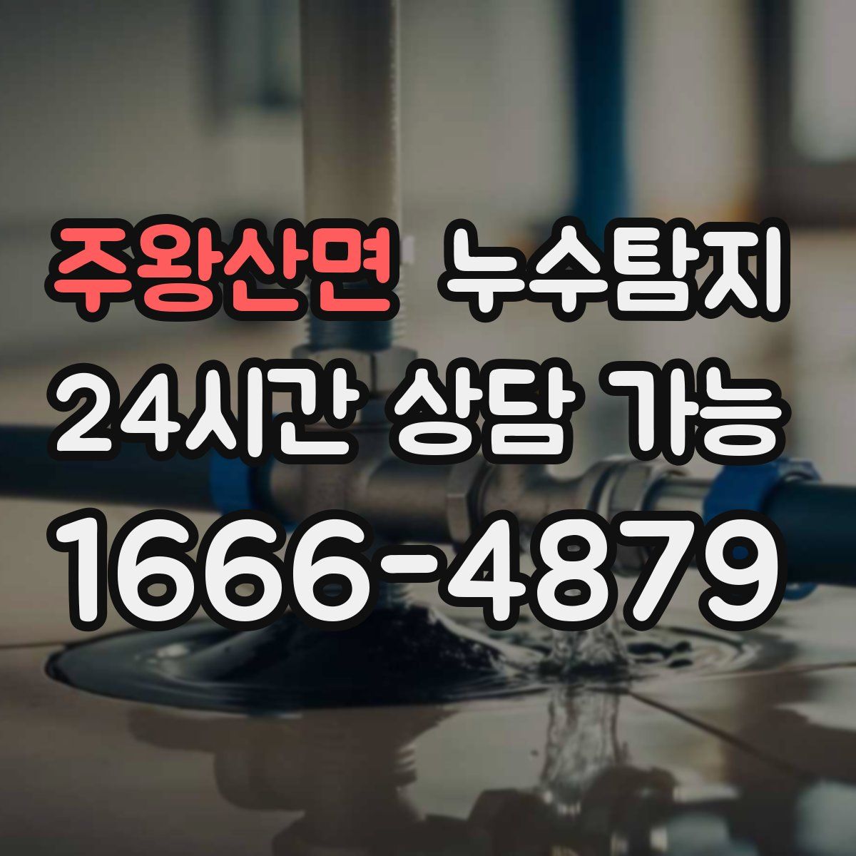 주왕산면 누수탐지