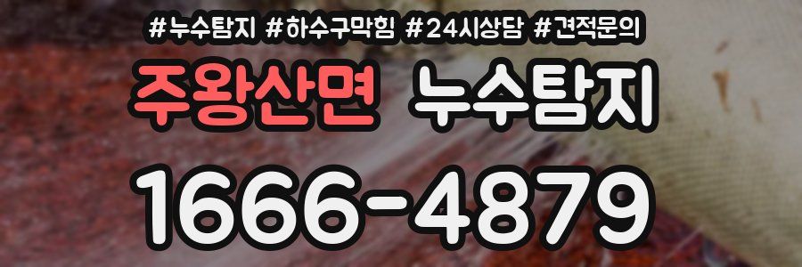 누수탐지