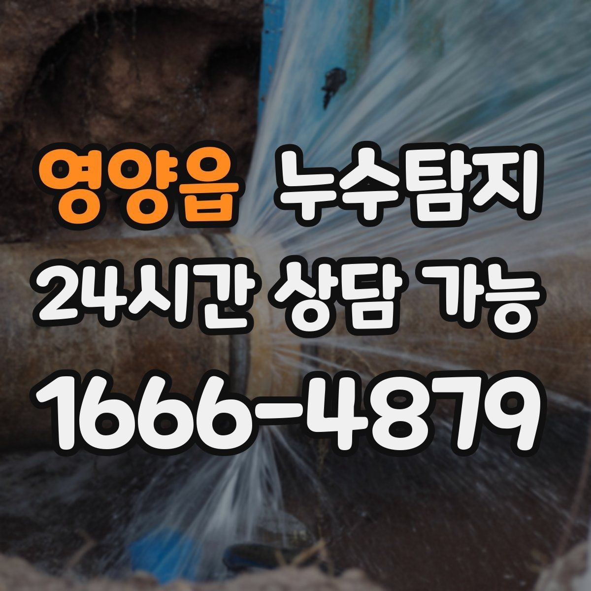 영양읍 누수탐지 빠른 방문으로 막은 2차 피해