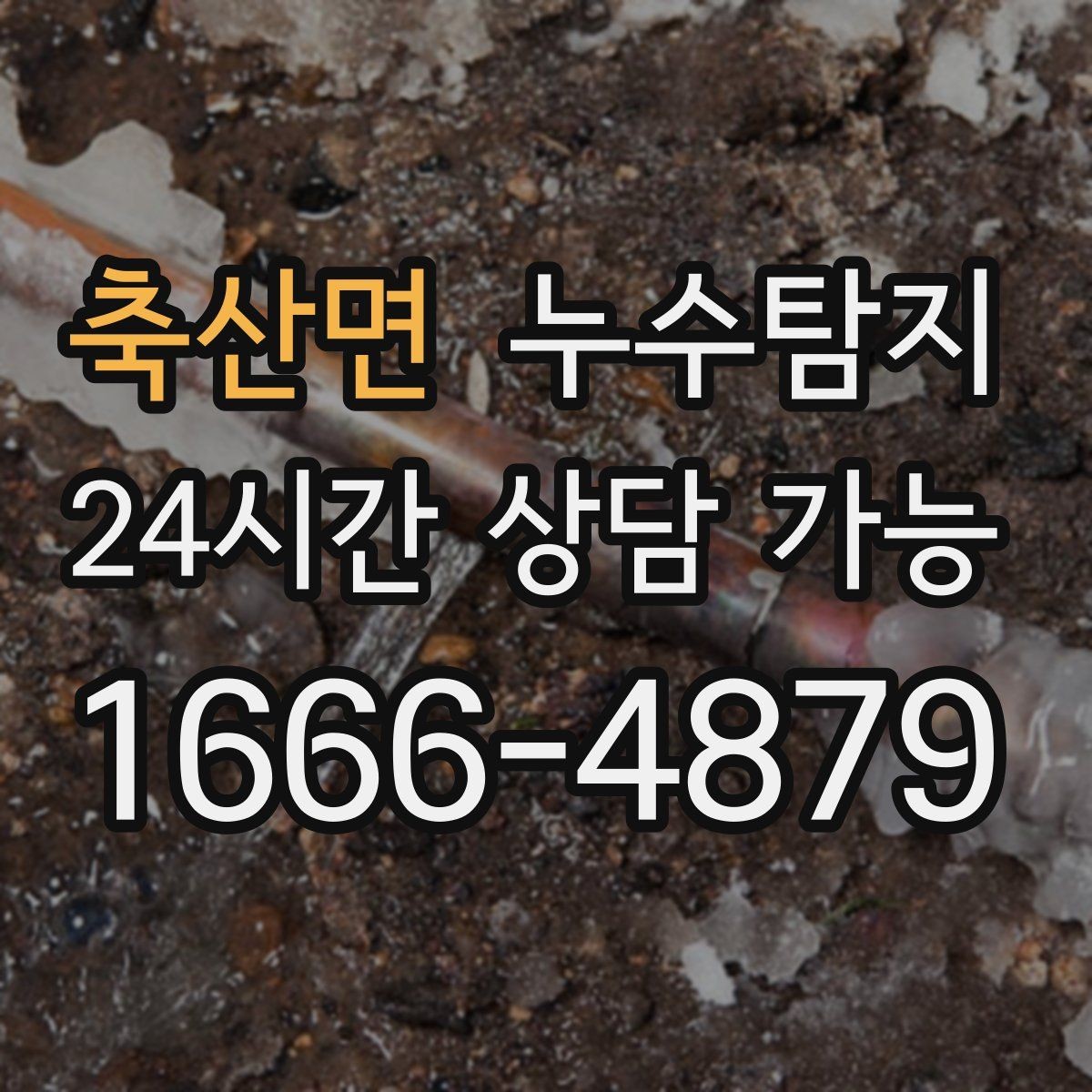 축산면 누수탐지 실내 곰팡이와 악취 방지를 위한 방법