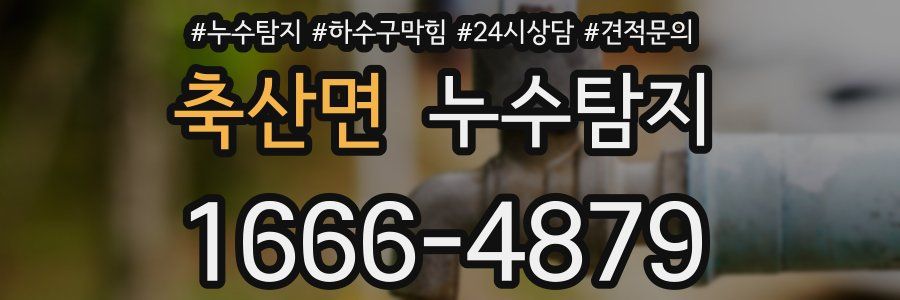 누수탐지
