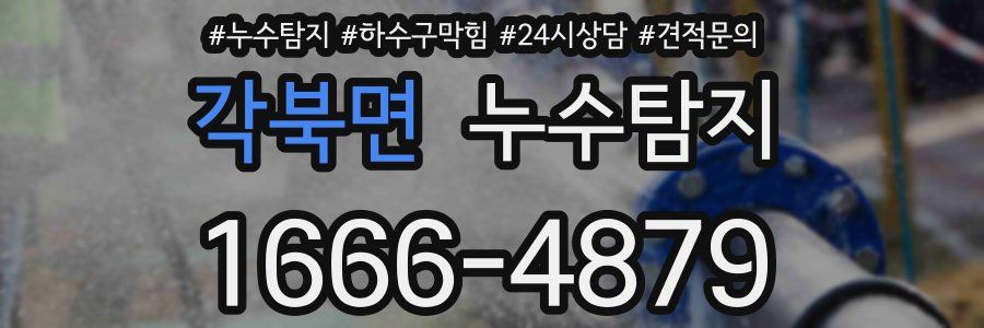 누수탐지